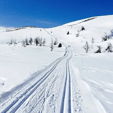 酒店 Hovda Fjellhotell 3*